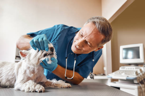 Best Emergency Dental Care for Trauma or Injury in Naples Manor, FL